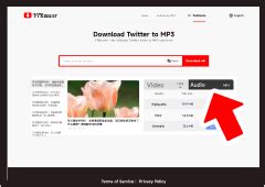 twitter mp3 download|twitter 320 kbps mp3 downloader.